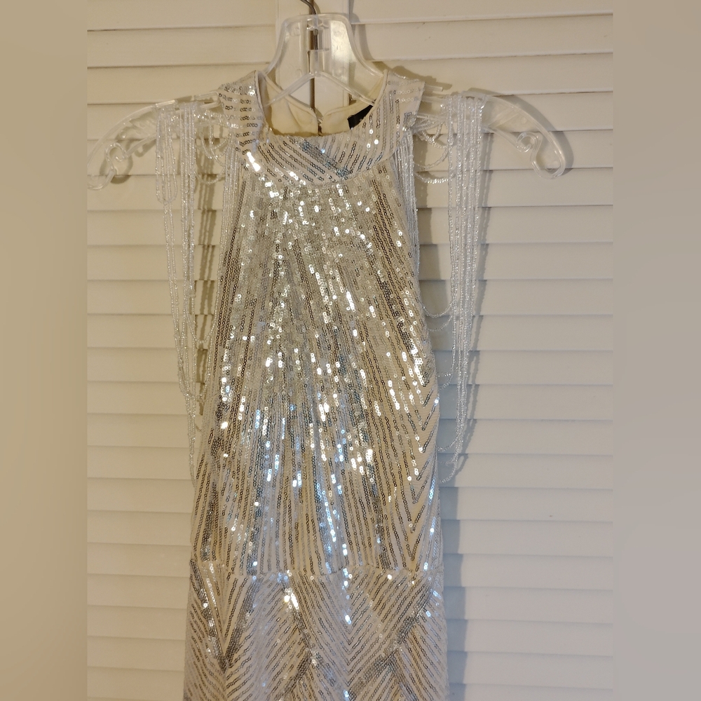 Elegant Silver Evening Gown - Picture 4 of 10